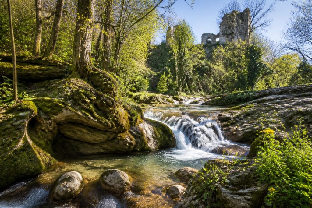 découvrez les dernières nouveautés et actualités du griffoul à gaillac. restez informé des événements, projets et informations importantes de cette région dynamique.
